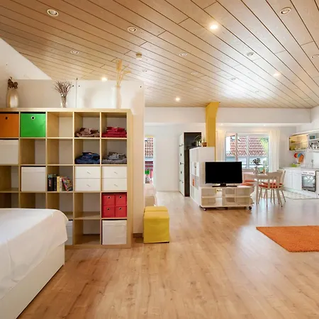 Appartement Loft-style